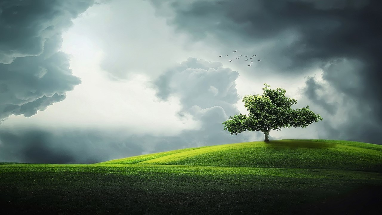 The Perfect Life: Rest