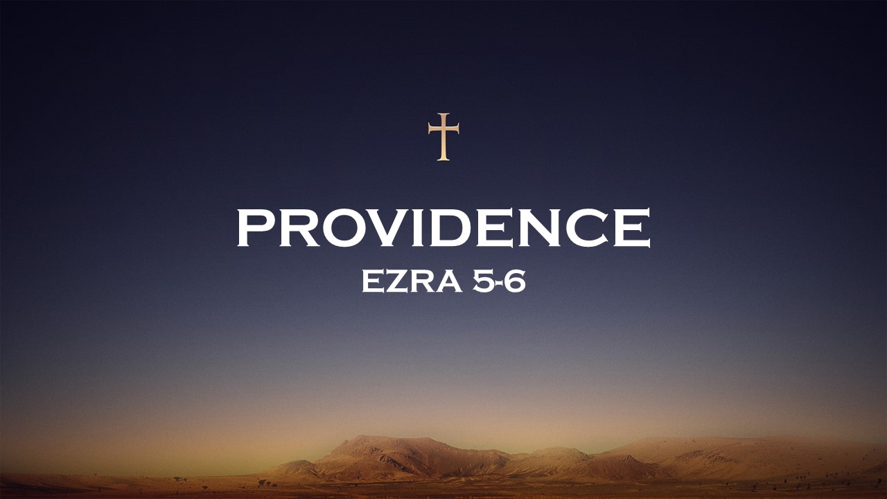 Providence episode artwork