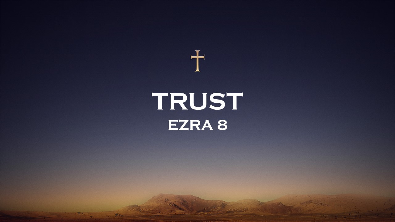 Trust episode artwork