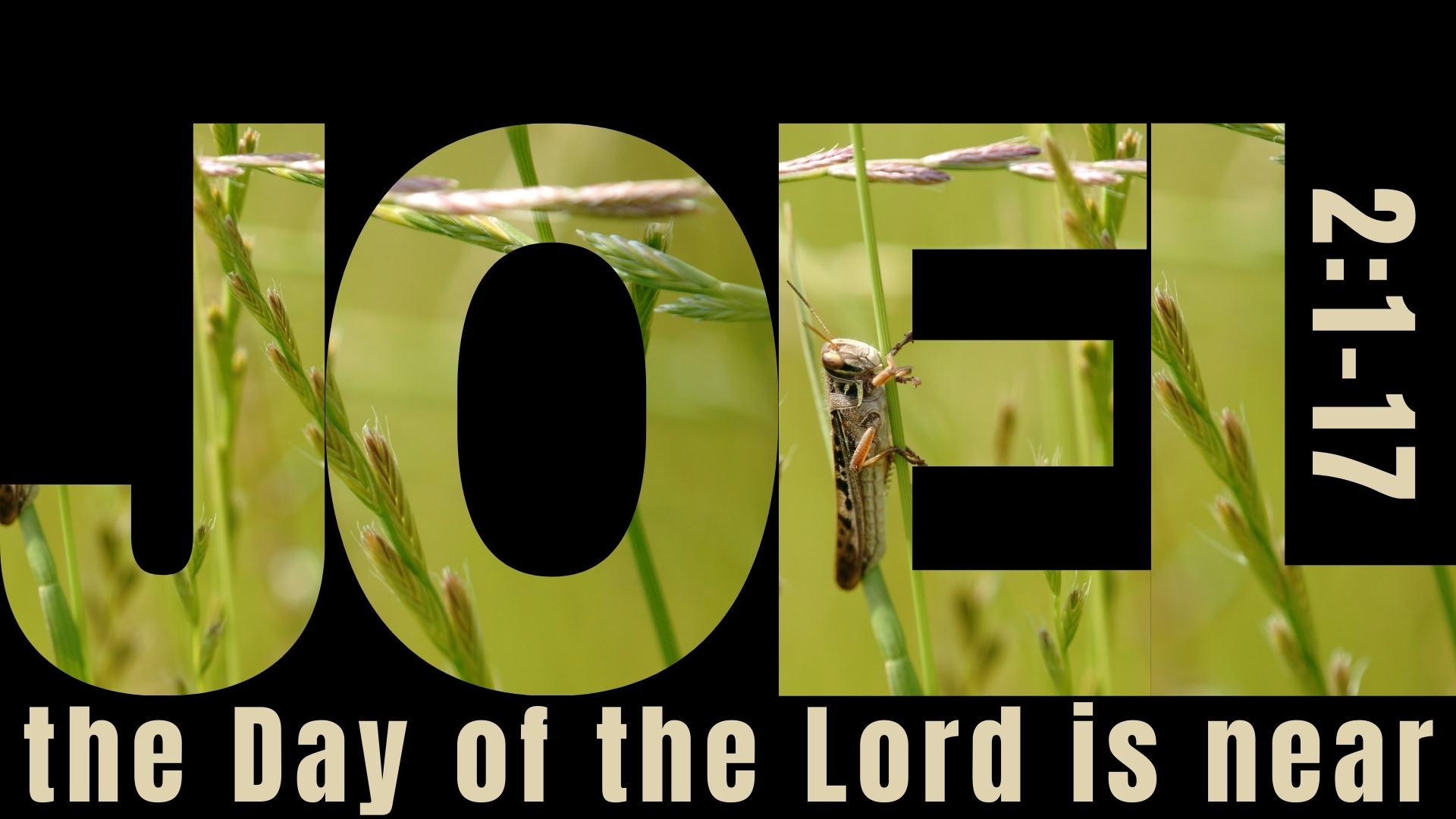 The Day Of The Lord Is Near episode artwork