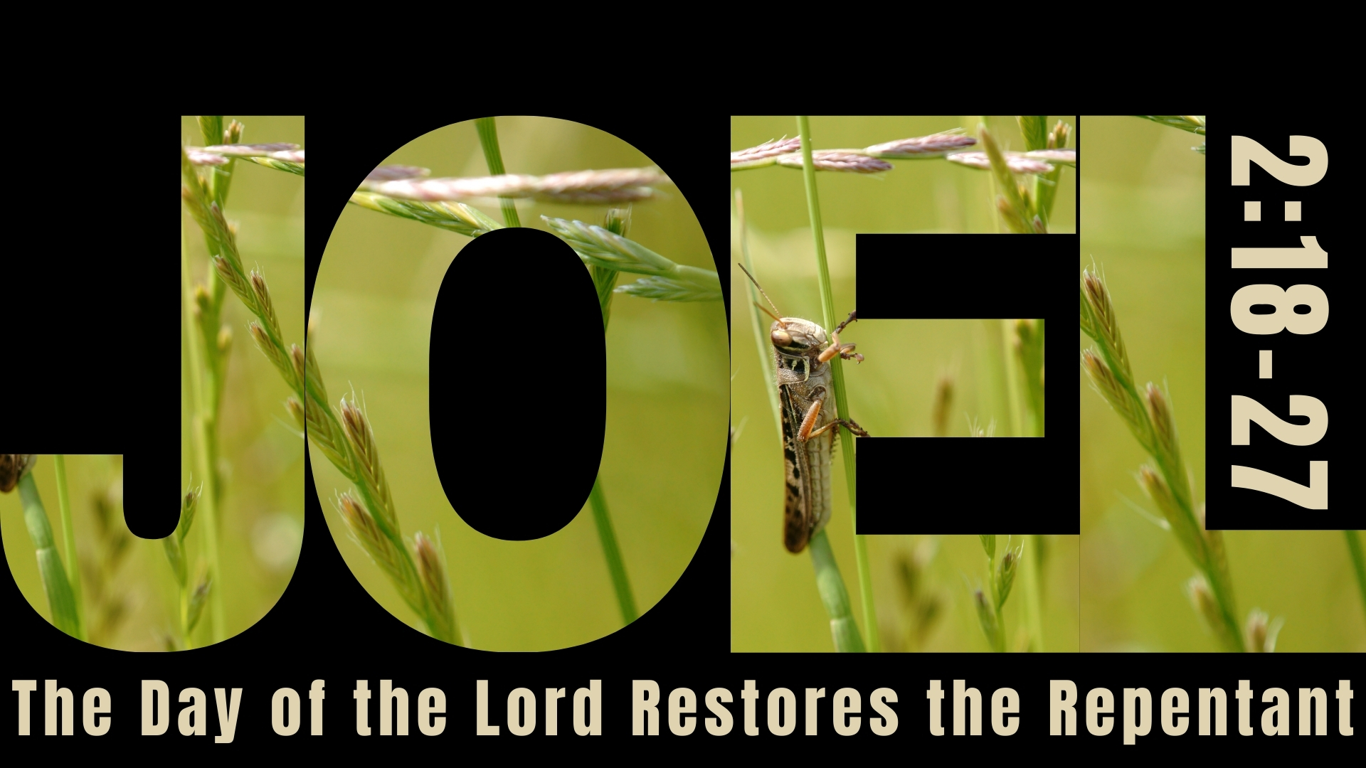 The Day Of The Lord Restores The Repentant episode artwork