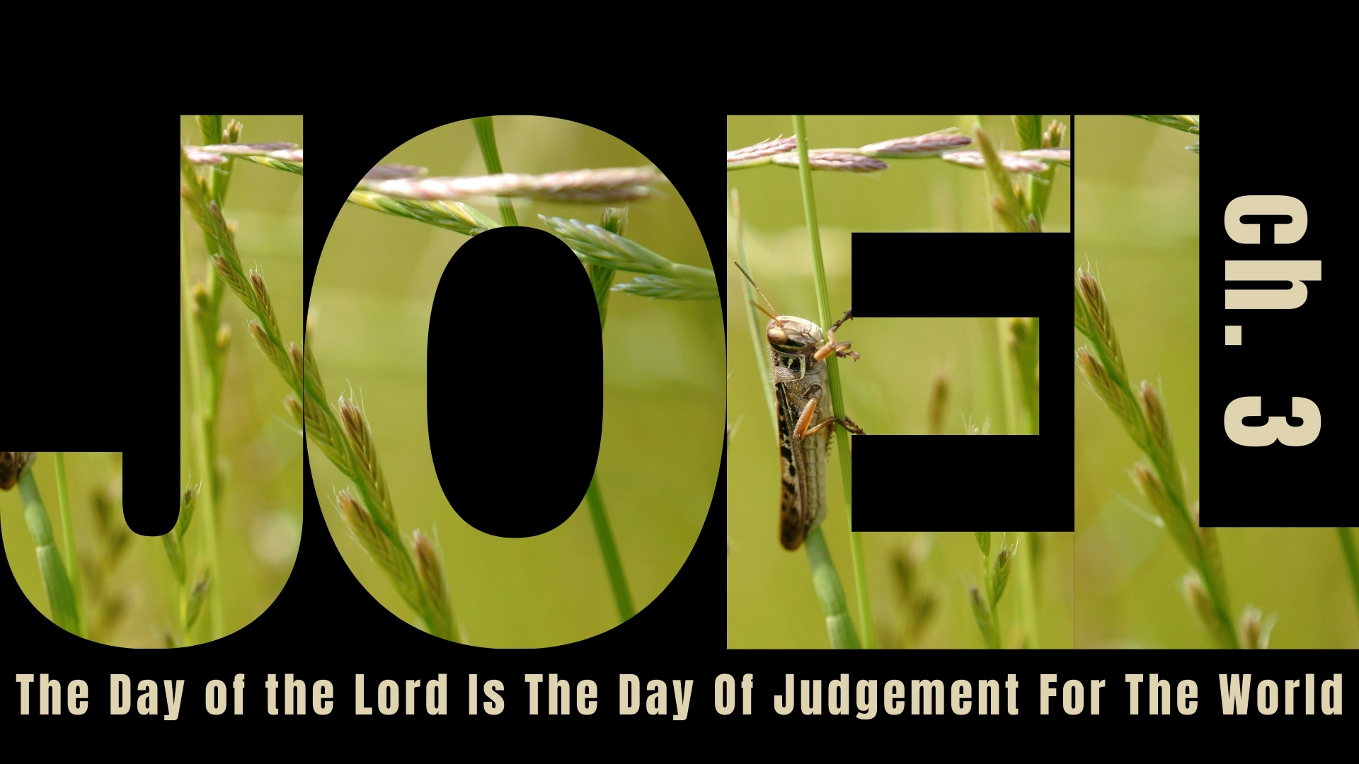 The Day of the Lord is the Day of Judgment for the World episode artwork