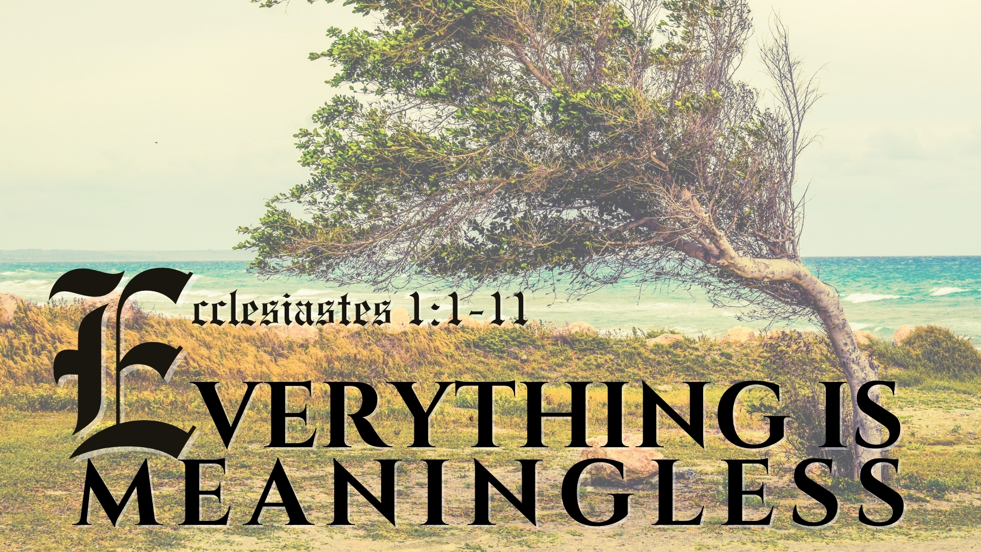 Everything Is Meaningless episode artwork