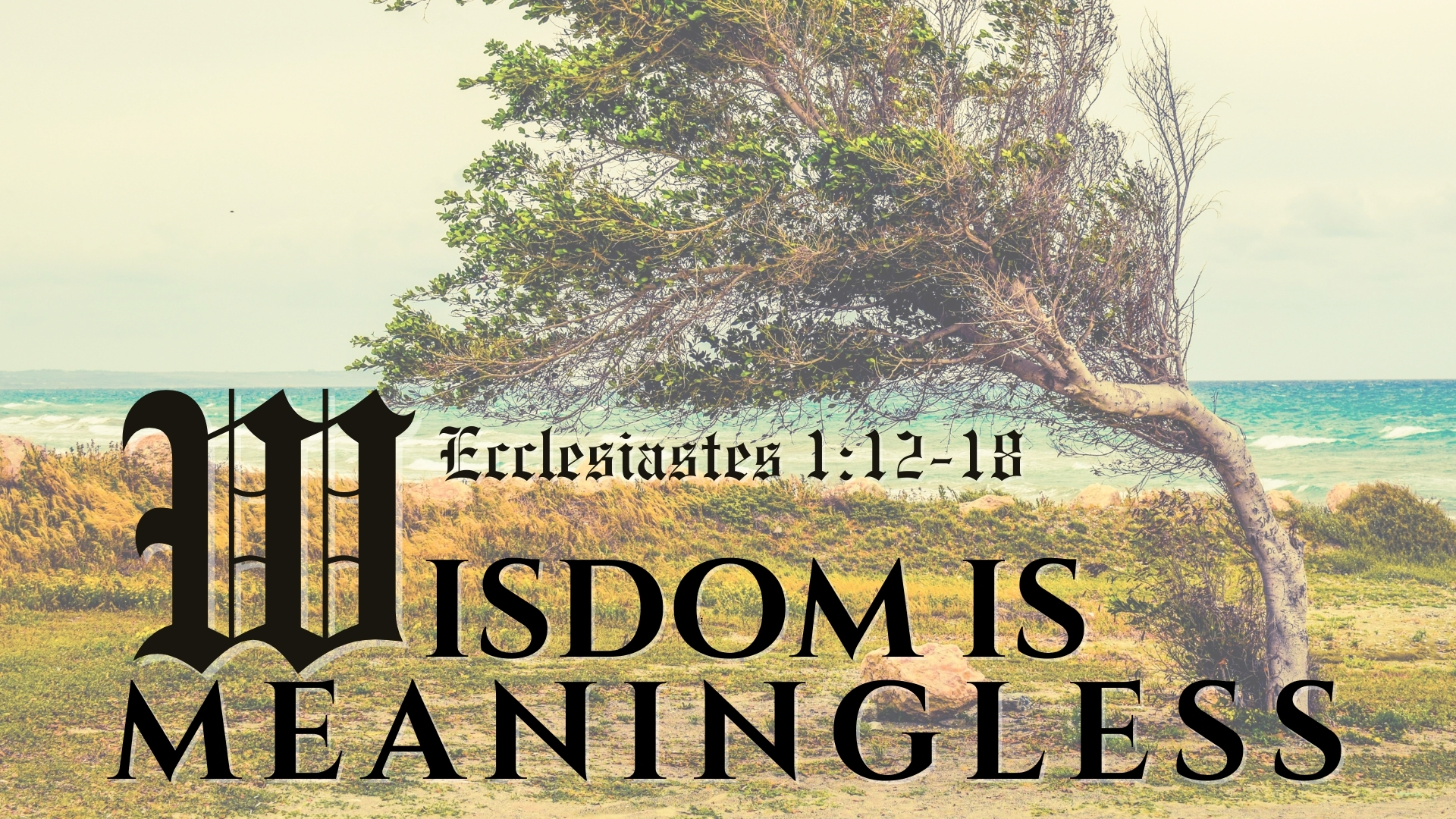 Wisdom Is Meaningless episode artwork
