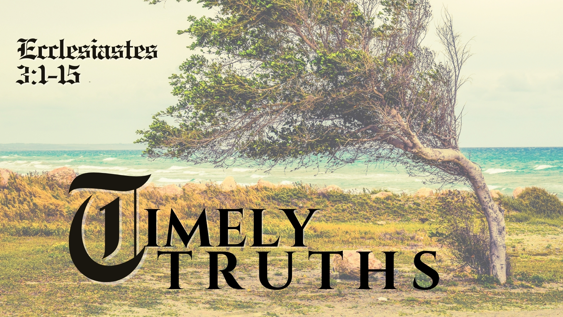 Timely Truths episode artwork