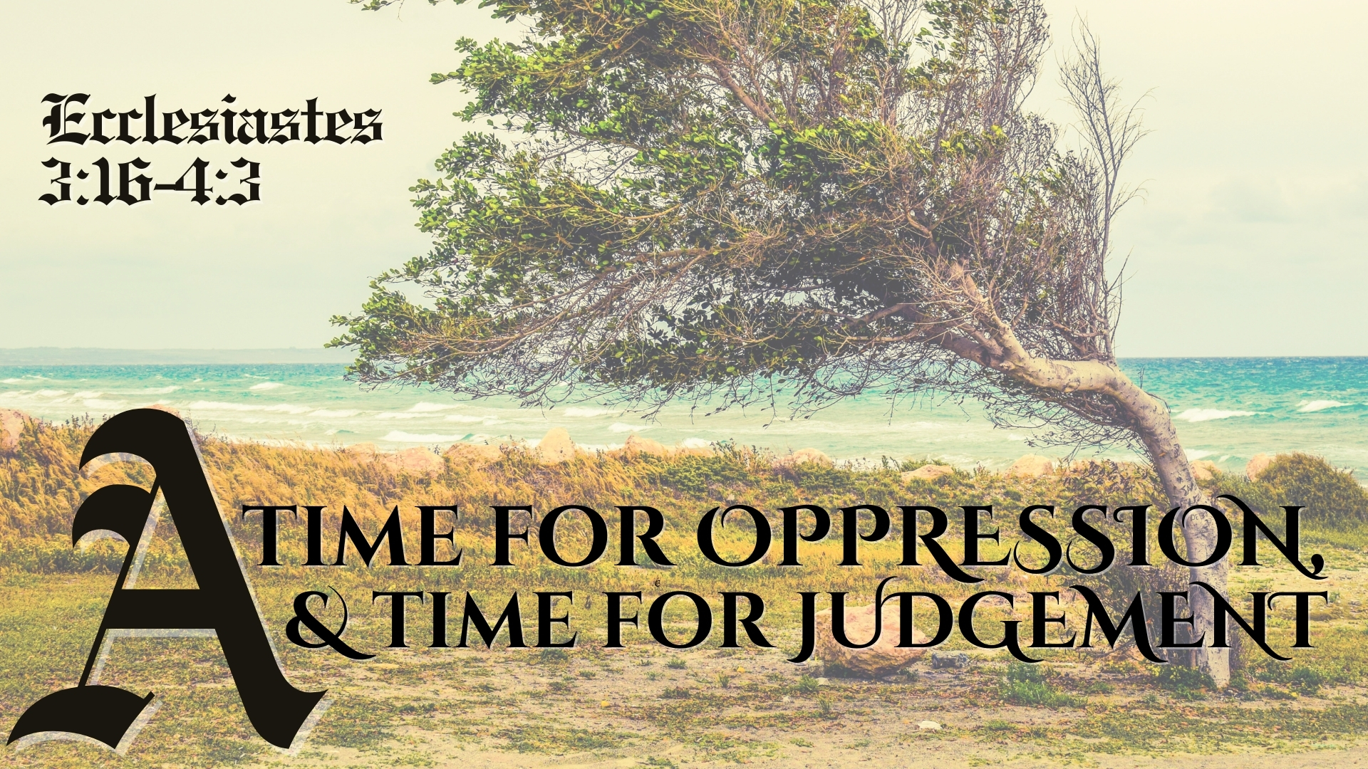 A Time For Oppression, And A Time for Judgement episode artwork
