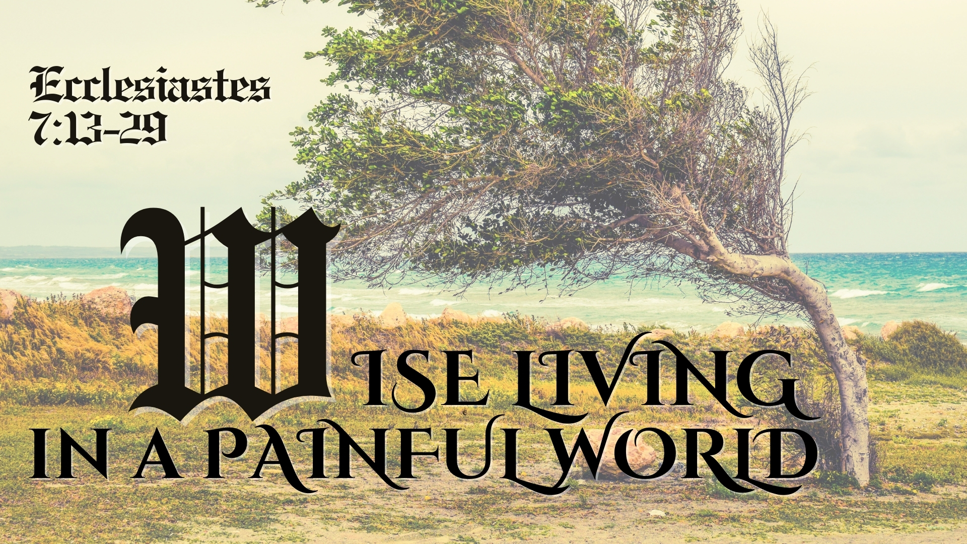 Wise Living In A Painful World episode artwork