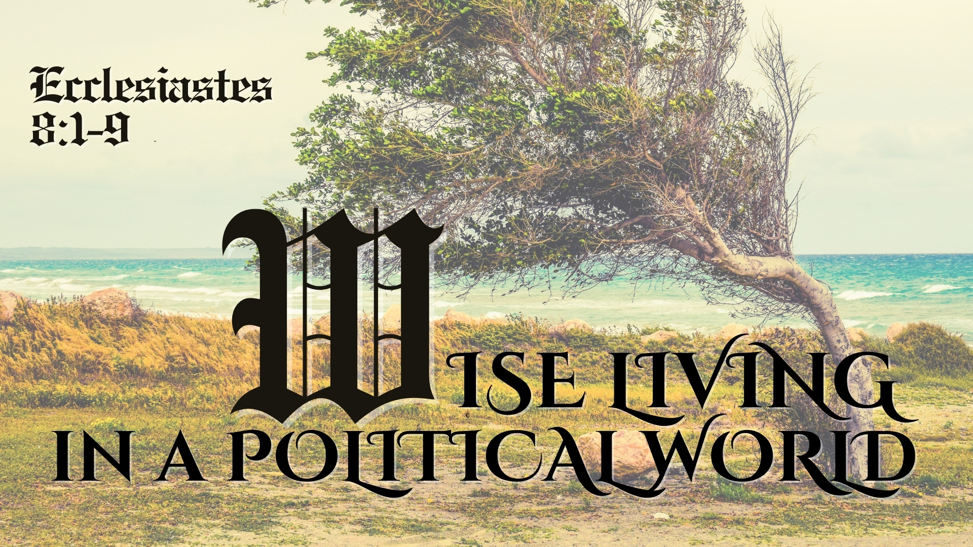 Wise Living In A Political World episode artwork