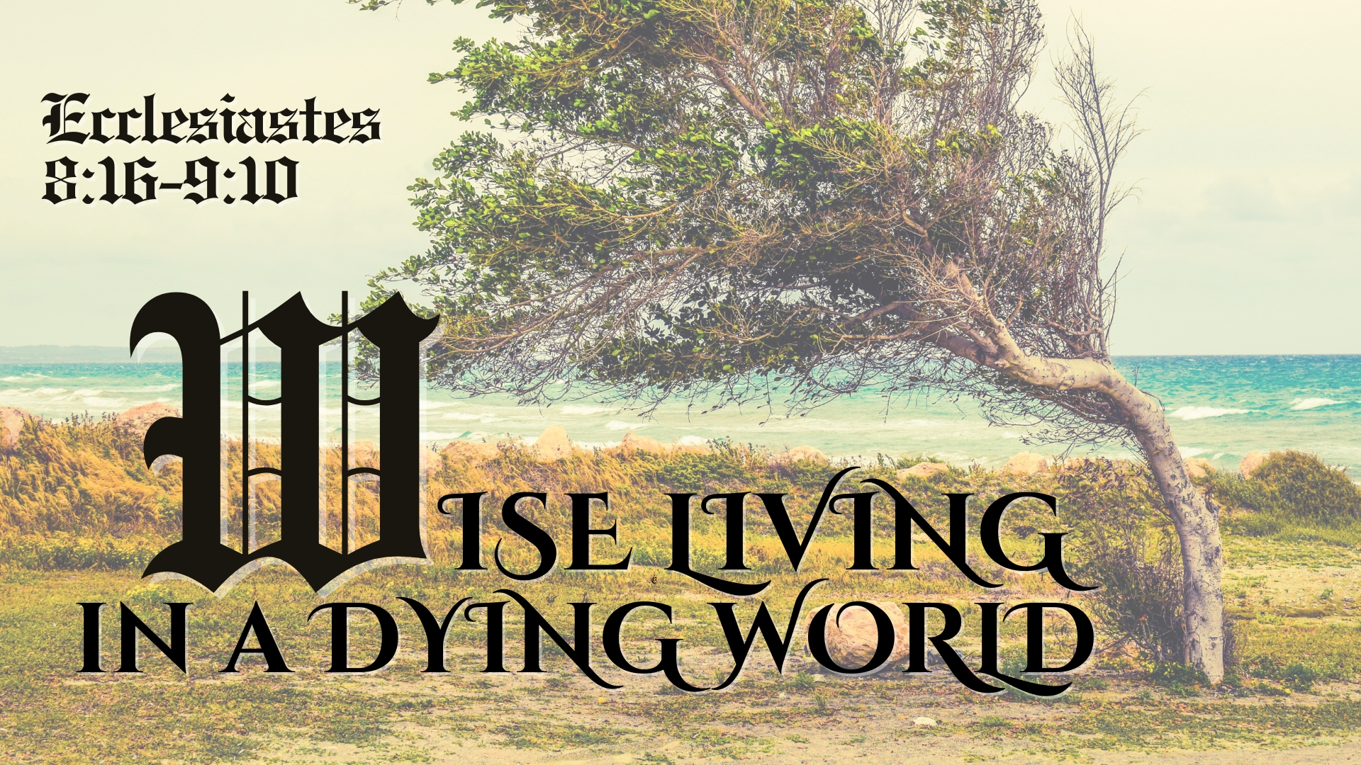 Wise Living In A Dying World episode artwork