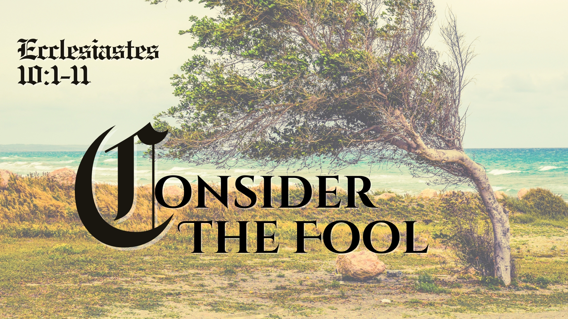 Consider The Fool episode artwork
