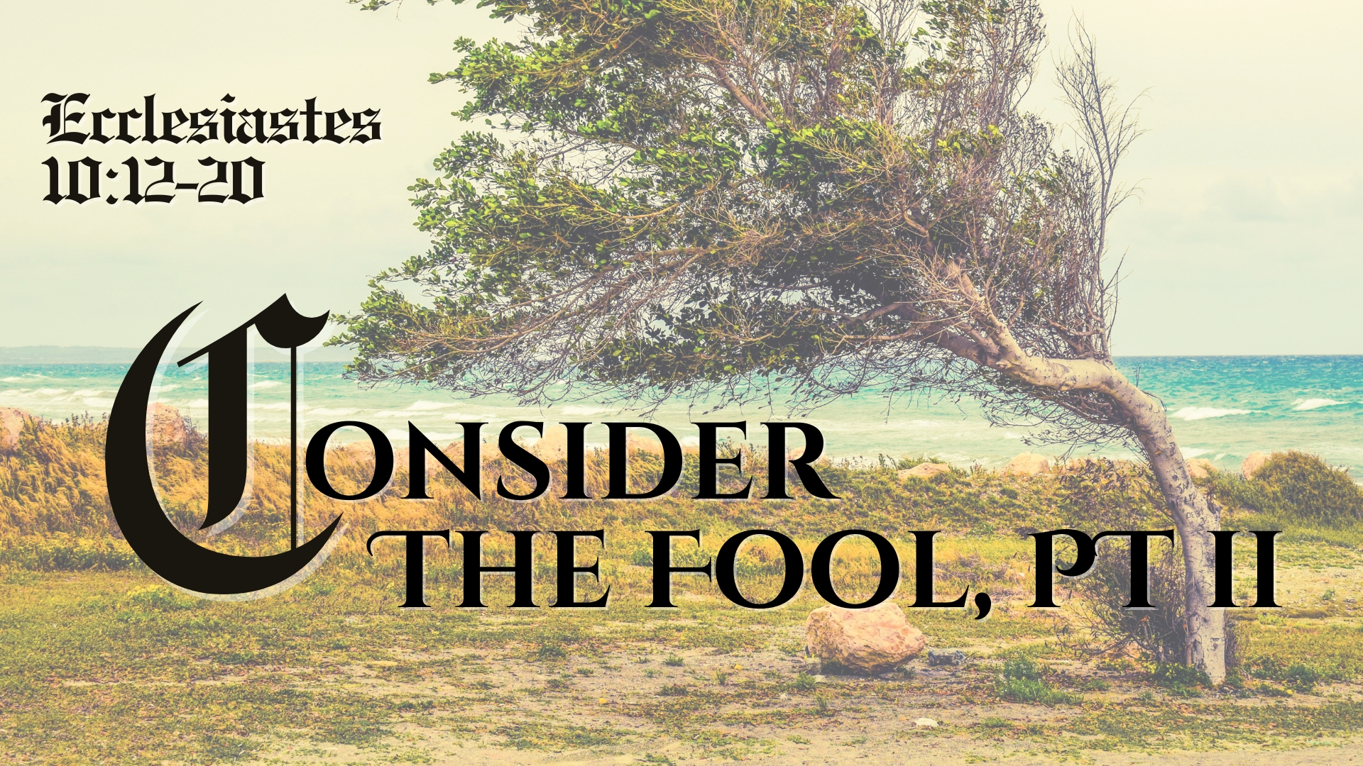 Consider The Fool, Part II episode artwork