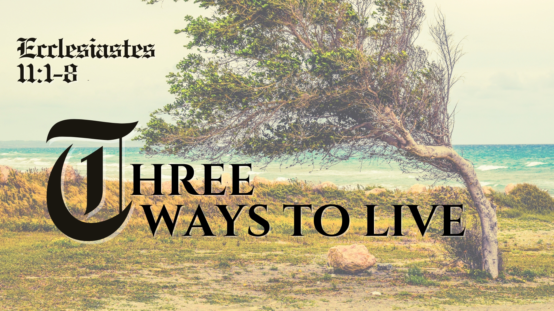 Three Ways To Live episode artwork