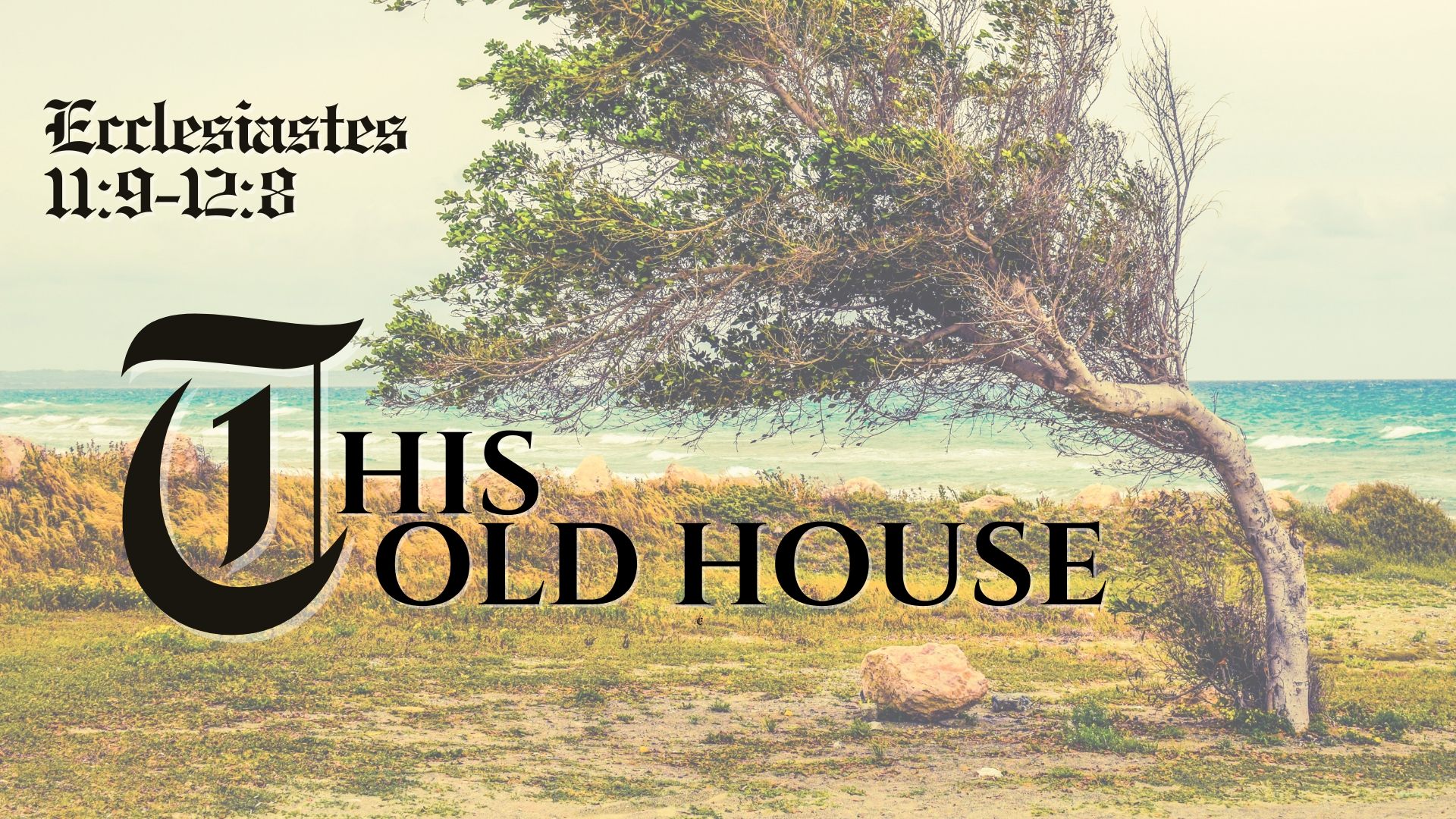 This Old House episode artwork